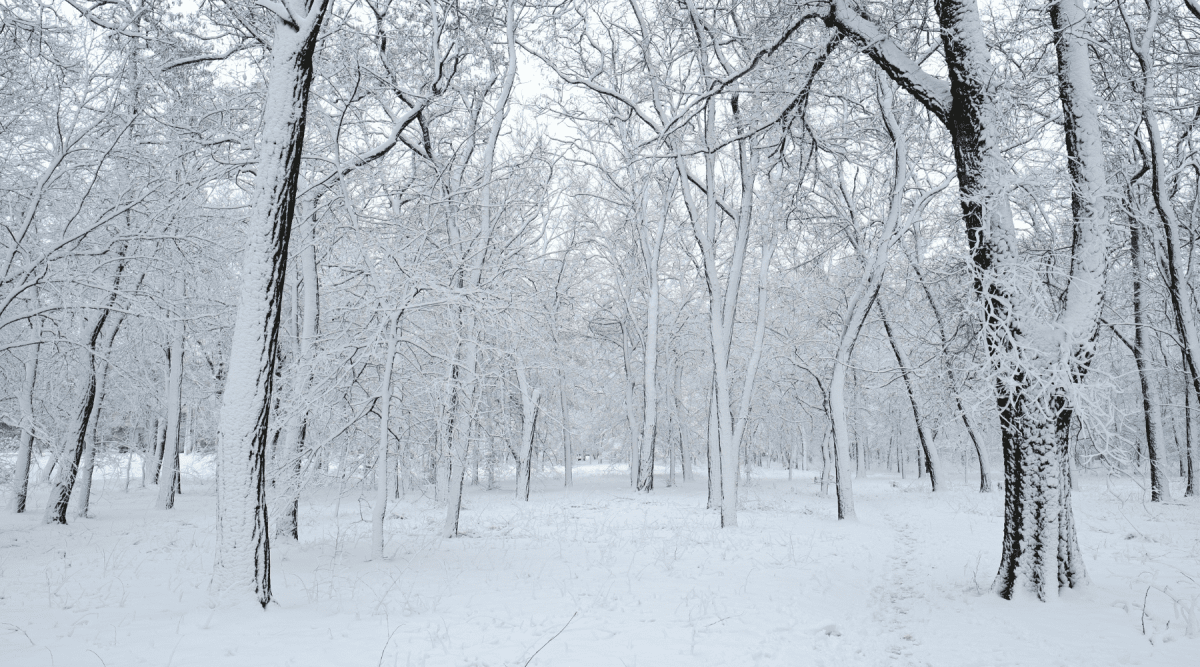 Why Your Skin Needs a Cold Weather Routine - QMS Medicosmetics - USA and North America